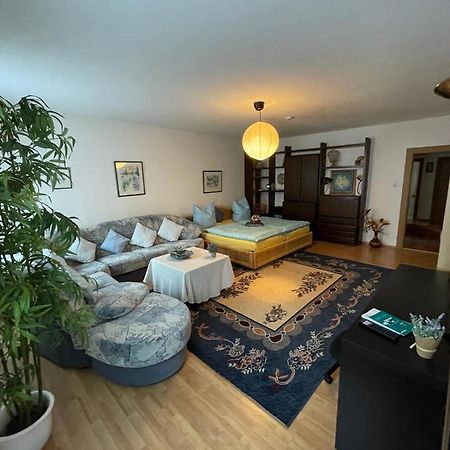 Schoene Ferienwohnung In Bahnhofsnaehe Fuer Urlaub, Studium Oder Arbeit Deggendorf Exteriör bild